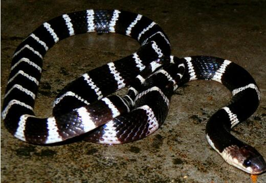 xingkong体育官网登录