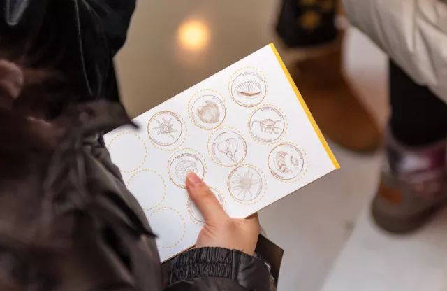 “xingkong.com”2018上海市杨浦实验学校小升初招生简章-上海小升初