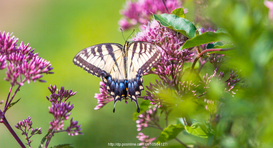 世界最贵在世艺术家个展亮相隆福寺打造文化地标_xingkong体育官网登录