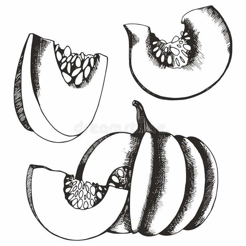 源汇区实验小学：举行消防疏散演练提高师生防范意识_xingkong体育官网登录