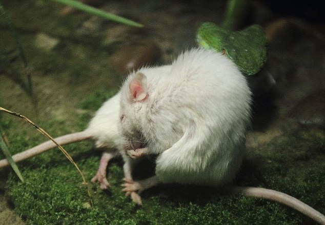 《妈妈是超人3》探索亲子IP进阶之路，凯叔讲故事鼎力加盟：星空官网登录