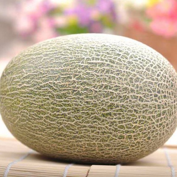 ‘星空官网登录’马竞迎欧联杯第300战 里斯本内忧外患 格里兹曼盼再建功(图2)