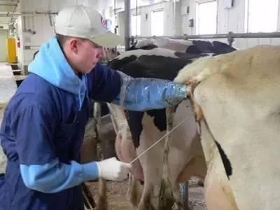 ‘星空官网登录’马竞迎欧联杯第300战 里斯本内忧外患 格里兹曼盼再建功