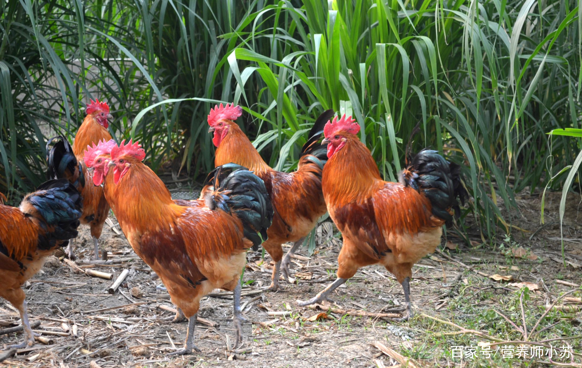 【星空官网登录】皇马欧冠英雄最后的笑容!已与队友告别 飞巴黎体检