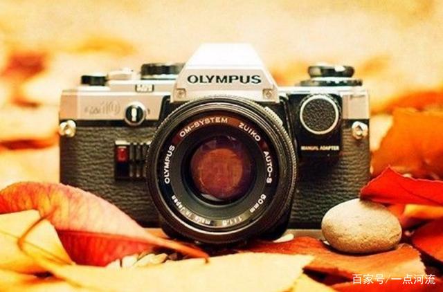 41万英镑！疑似圆明园被劫文物被拍卖-星空体育官网