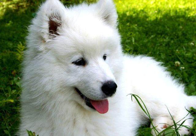 ‘xingkong.com’新密市西大街前士郭小学开展防踩踏安全疏散演练(图2)