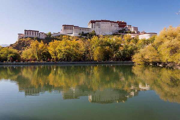 当代艺术收藏面临洗牌|星空官网登录