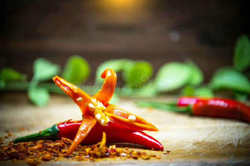 星空官网登录-2016电子科技大学实验中学网上报名-成都小升初