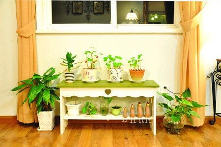 2016上海静安区初中招生政策-上海小升初‘xingkong.com’(图3)