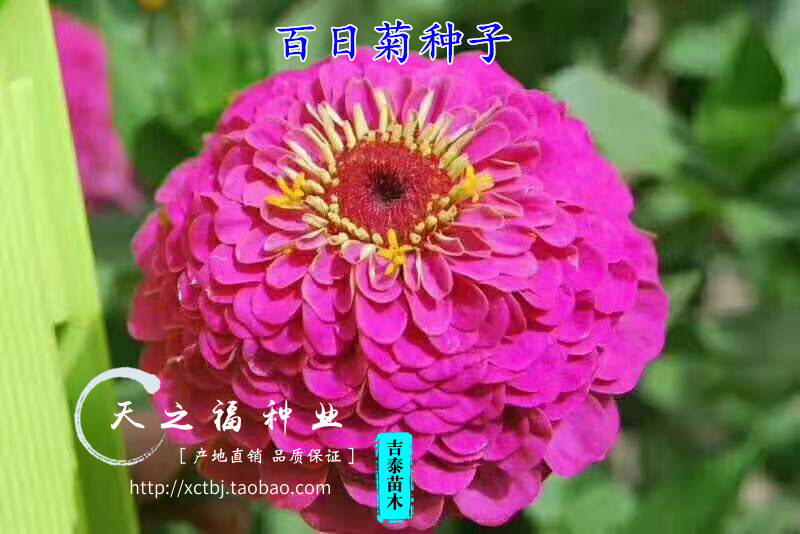 xingkong体育官网登录