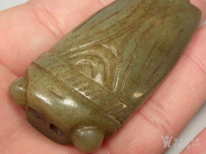 内乡县夏馆中心小学开展教育扶贫冬季大家访活动-星空官网登录