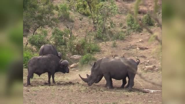 范迪安：以大美之艺绘时代新貌：星空官网登录