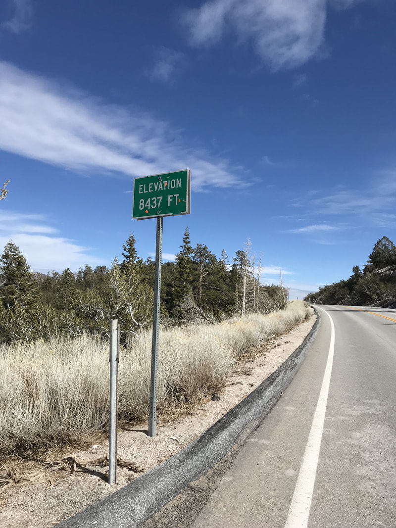 吴冠中油画拍卖2.36亿港元刷中国油画拍卖纪录“星空体育官网”