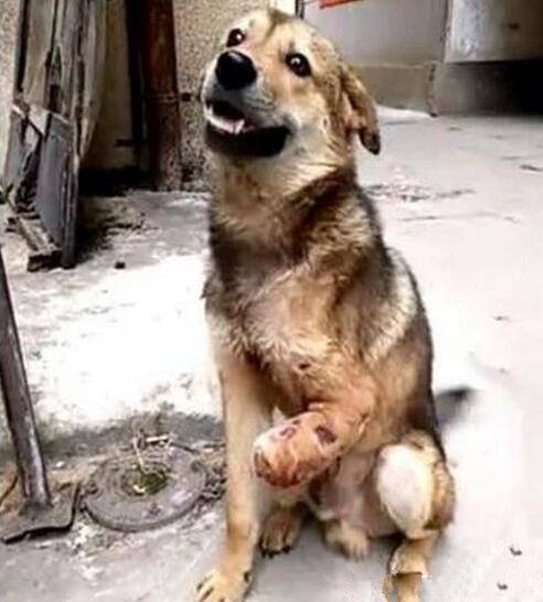 梅西86球详解:独中五元+6次戴帽曾20次梅开二度‘星空官网登录’