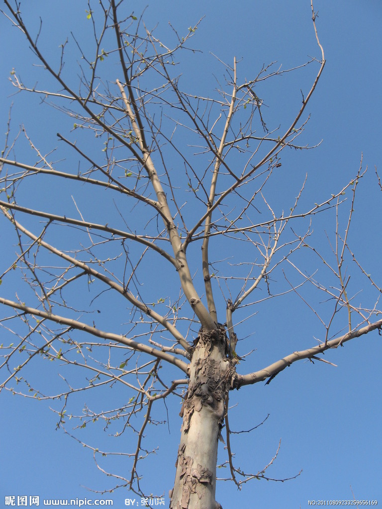 星空官网登录-为学生提供“心理防护服”！郑州市第八十五中学开展线上心理讲座活动