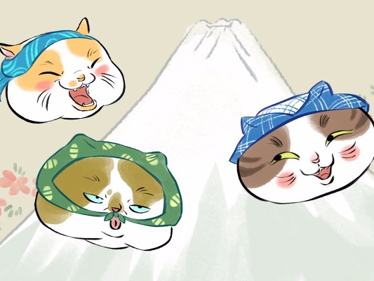 xingkong体育官网登录