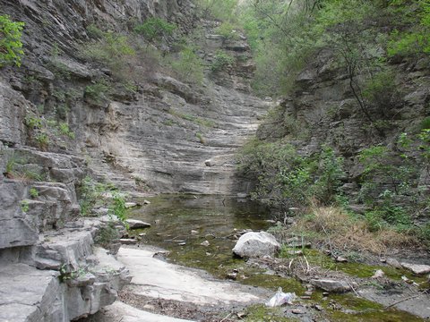 【星空体育官网】梅西年度88球演凯撒式征服马德里两喉舌遭狂讽(图2)