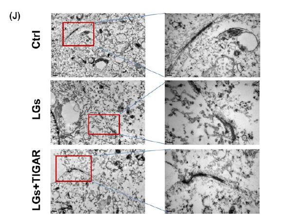 xingkong体育官网登录