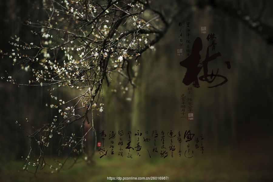 xingkong体育官网登录-2016深圳中学小升初政策-深圳小升初(图2) xingkong体育官网登录-2016深圳中学小升初政策-深圳小升初(图2)