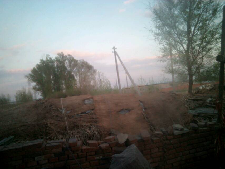 xingkong体育官网登录：艺市发生变革收藏品味或将转变