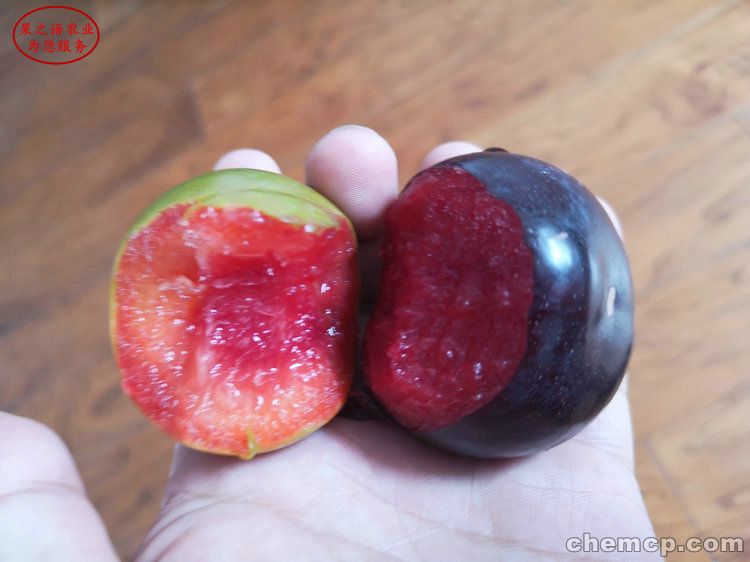 【xingkong体育官网登录】纳瓦斯：我面前有世界最强后防线 球迷给我动力