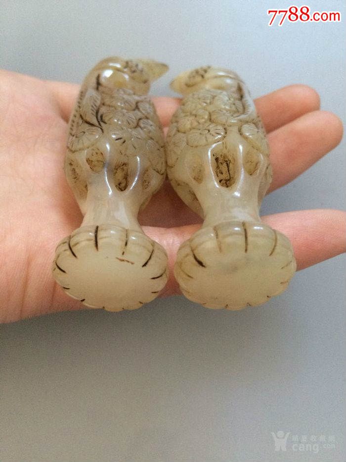 2014嘉祥（成华）小升初录取分数线和奖学金（外地生、本地生）【xingkong.com】