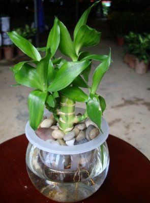 xingkong体育官网登录