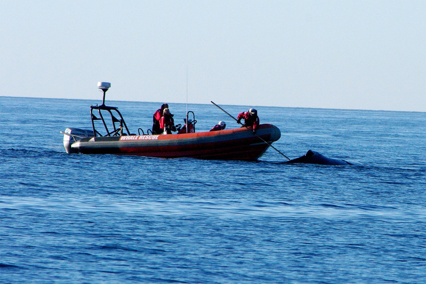 淅川马蹬二小：送教下乡老师在坚持【星空官网登录】(图4)