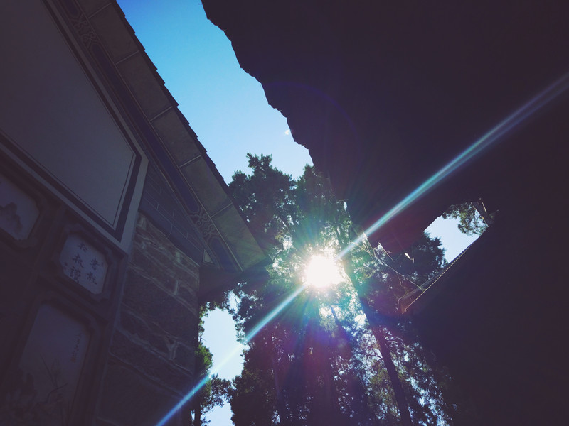 星空官网登录|海淀外国语实验学校怎么样，七个细节还原海外