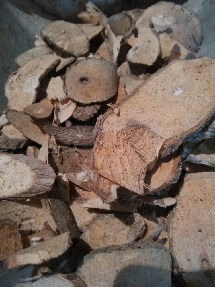 xingkong体育官网登录