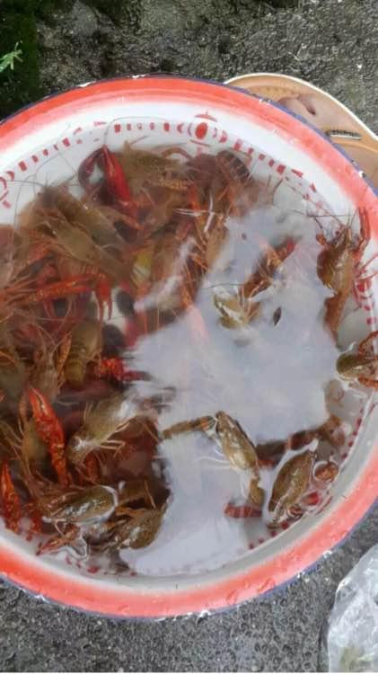 【xingkong.com】皇马夺冠被巴萨嘲讽?贝尔的生日之夜和夺冠都是灰暗的!(图3) xingkong体育官网登录