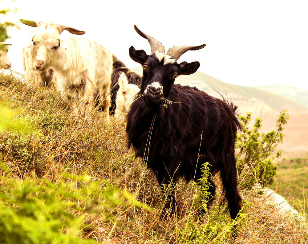 齐祖:贝尔伤愈但不能上 我想怎么说姆巴佩就怎么说-星空体育官网