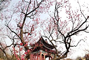 航母金银币的收藏价值-xingkong.com