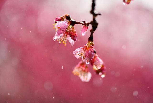 
9月9日生肖运势前三_xingkong.com(图2)