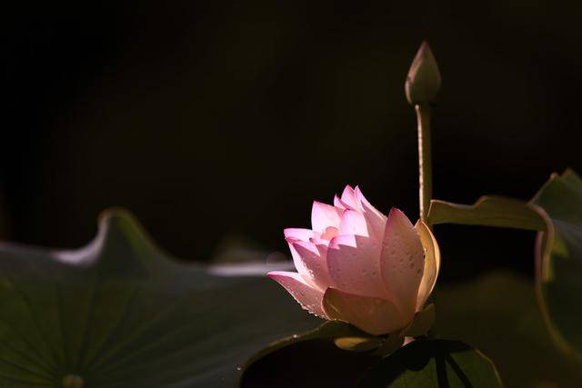 
9月9日生肖运势前三_xingkong.com(图3)