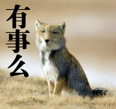 巴萨前瞻：客战联赛黑马谨防翻车 为国王杯演习：xingkong体育官网登录