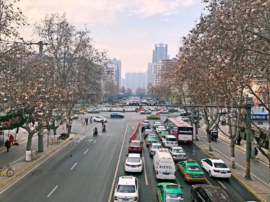 星空官网登录_嵩山路学校绿城使者在行动(图2) 星空体育官网