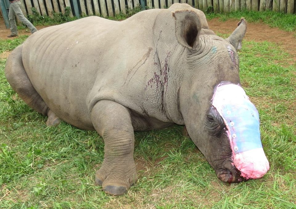 星空体育官网-马头镇中心校召开义务教育均衡发展工作推进会