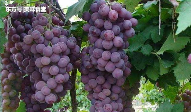 xingkong体育官网登录