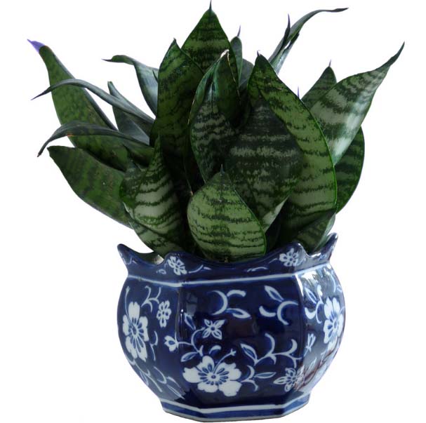 消除隐患确保安全——灵宝市一中全力开展冬季安全隐患大排查活动【xingkong.com】(图3) xingkong体育官网登录