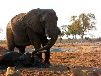 【星空官网登录】皇马传奇谈国家德比：我们应该把足球和政治区分开