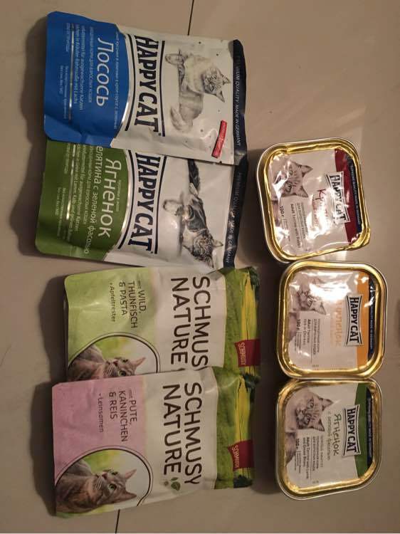 漯河市郾城区武装部部长邵天江到新店镇张店小学检查指导疫情防控工作-xingkong.com(图2)