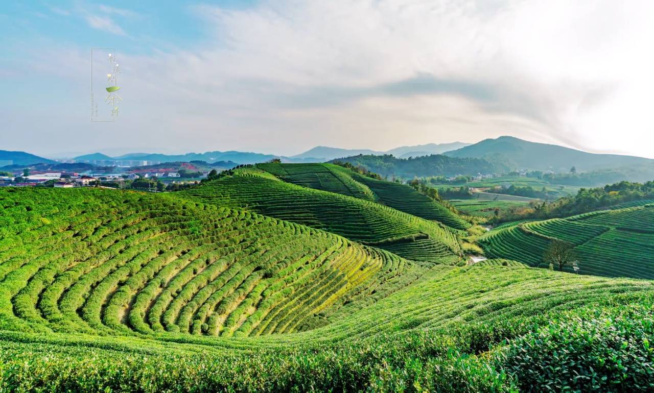 经纪人暗示比利亚留队西媒以他为鉴提醒内马尔_xingkong.com