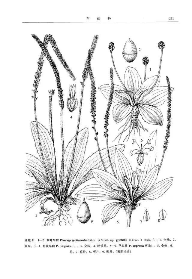 星空官网登录：曝皇马谈妥阿扎尔！转会费1.15亿镑+队内第一高薪