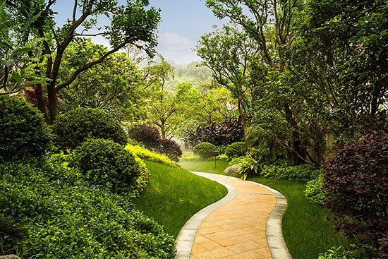 大学博物馆的“赝品”之扰_星空官网登录(图2)