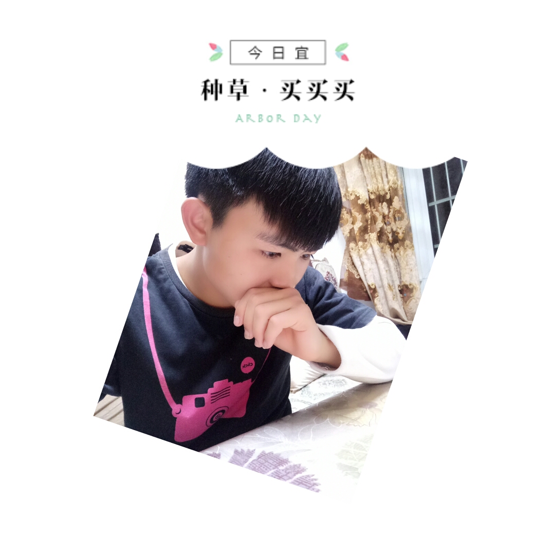 大学博物馆的“赝品”之扰_星空官网登录