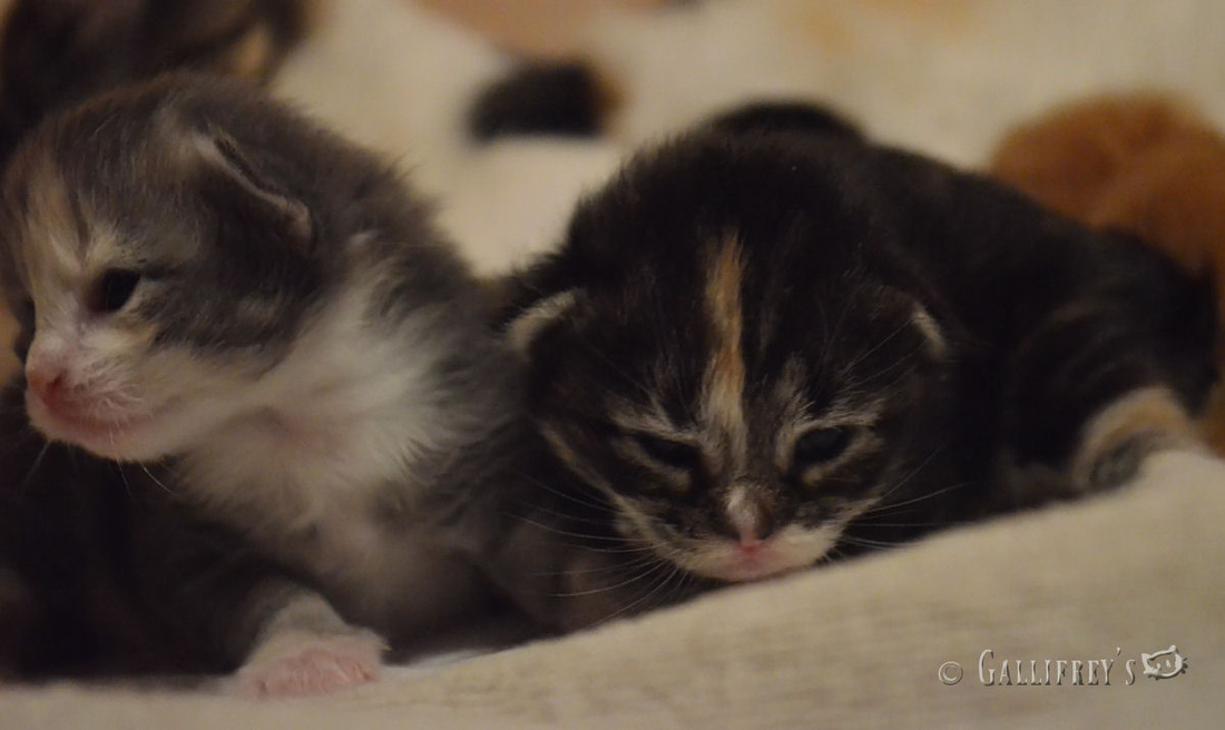 ‘xingkong.com’
人人都是艺术家｜书画组获奖名单宣布(图3)