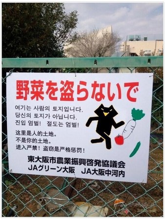 xingkong体育官网登录