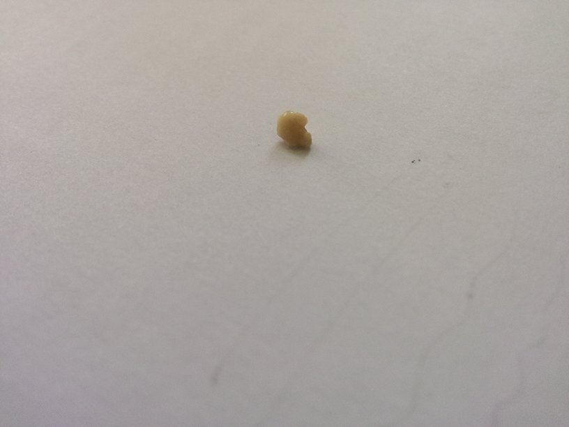 
	<h1>《浙江文化地图》完成编撰出版|xingkong体育官网登录