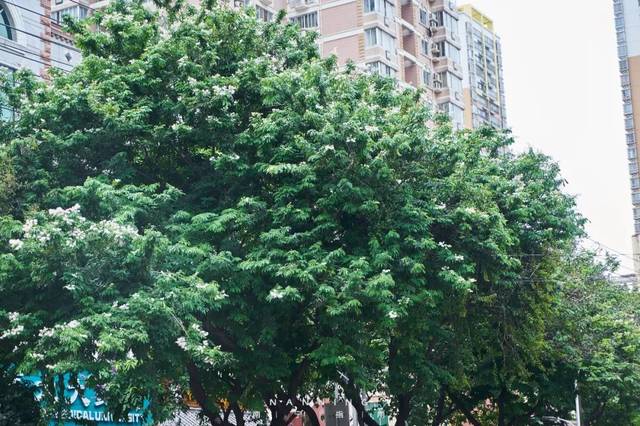 郭关音画艺术作品展在京举行|xingkong体育官网登录(图2) xingkong体育官网登录